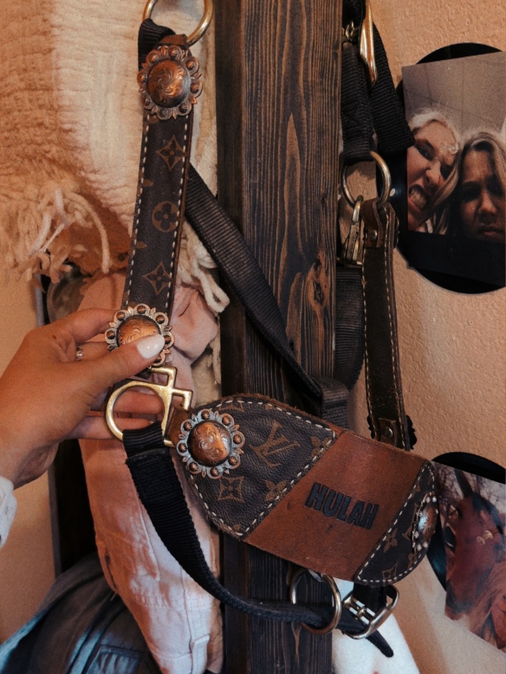 Horse halter